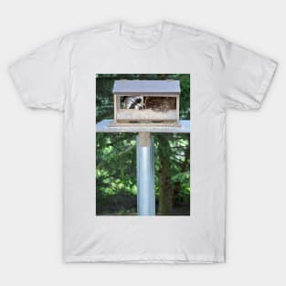 Why the songbirds don't arrive... T-Shirt